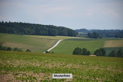 Grundstücke in 7343 Neutal