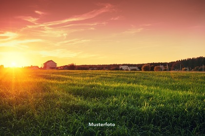 Grundstücke in 8282 Loipersdorf bei Fürstenfeld