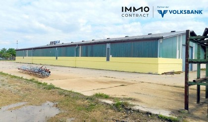Hallen / Lager / Produktion in 2132 Frättingsdorf