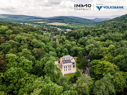 Büros /Praxen in 1010 Wien