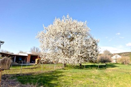 Großflächiges Baugrundstück mit Altbestand Großflächiges Baugrundstück mit Altbestand