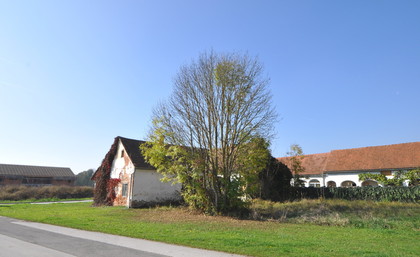 Grundstücke in 7563 Königsdorf