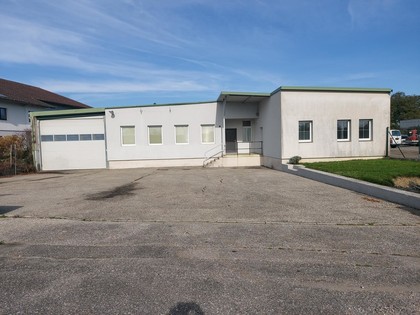 Hallen / Lager / Produktion in 3385 Prinzersdorf