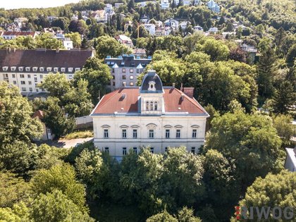 WIENTALBLICK | Lichtdurchflutete Wohnung in der historischen Villa Seutter mit 4,4m Raumhöhe & Blick auf denkmalgeschützte Linde | sanierungsbedürftig | + Garten optional WIENTALBLICK | Lichtdurchflutete Wohnung in der historischen Villa Seutter mit 4,4m Raumhöhe & Blick auf denkmalgeschützte Linde | sanierungsbedürftig | + Garten optional