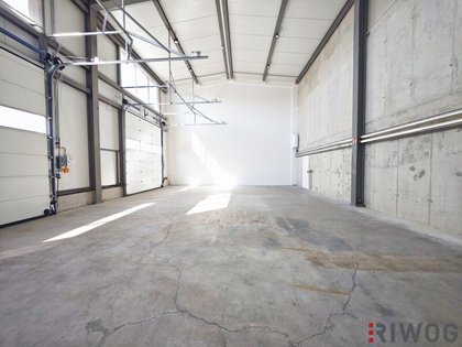 Hallen / Lager / Produktion in 3425 Langenlebarn-Unteraigen