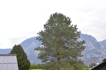 DACHGESCHOSSWOHNUNG MIT SEEBLICK UND BADEPLATZNUTZUNG