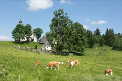 RARITÄT AUF DER ALM RARITÄT AUF DER ALM