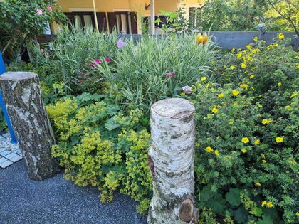 Wohnungen in 8225 Pöllau