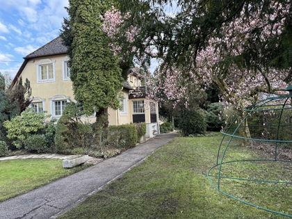 Großes, parkähnliches und phantasievolles Grundstück mit charmantem Haus Großes, parkähnliches und phantasievolles Grundstück mit charmantem Haus