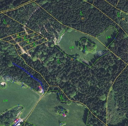 Wald und Naturjuwel Wald und Naturjuwel