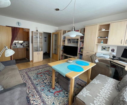 Lichtdurchflutete Wohnung Nähe Alte Donau Lichtdurchflutete Wohnung Nähe Alte Donau