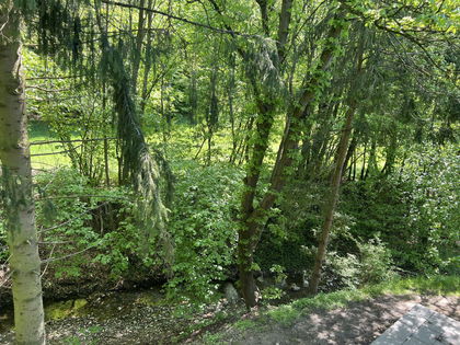 Wohnen am Bach Wohnen am Bach