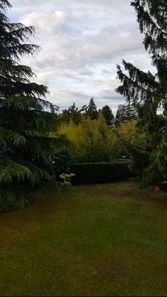 Rarität Baulos Alte Donau, Siedlung Sonnenblume Rarität Baulos Alte Donau, Siedlung Sonnenblume