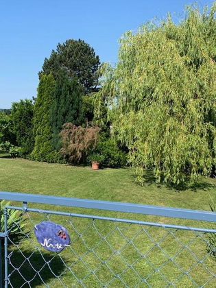 Grundstück-Garten-Privat Grundstück-Garten-Privat