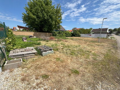 Schönes Baugrundstück in Neusiedl am See zum Verkaufen