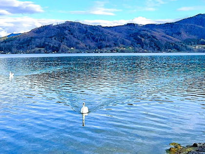 HAUS am ATTERSEE – PRIVAT HAUS am ATTERSEE – PRIVAT