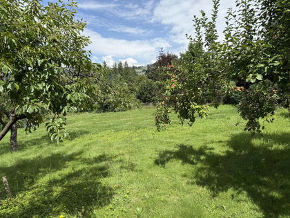Wunderschöner Grund im Zaubertal Wunderschöner Grund im Zaubertal