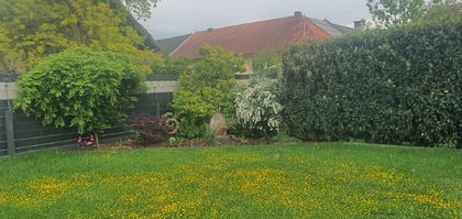 Einfamilienhaus in der Gemeinde Oftering Einfamilienhaus in der Gemeinde Oftering
