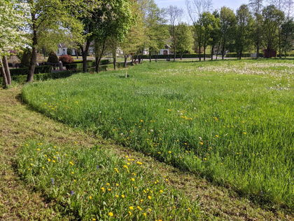 Privat: Sonniges Baugrundstück in Südburgenland Privat: Sonniges Baugrundstück in Südburgenland