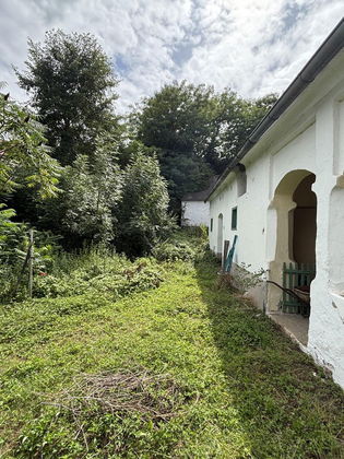 Grundstück mit altem, verwilderten Hausbestand