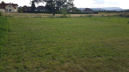 Baugrundstück in ruhiger Lage – Steinabrückl bei Wiener Neustadt (Privatverkauf - VB)