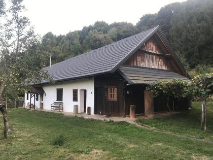 Altes Bauernhaus (Lehmbau) im Südburgenland