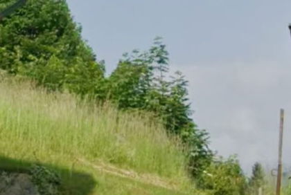 Wohnen am Waldrand Wohnen am Waldrand