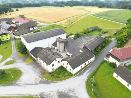 Bauernhof - Endlich viel Platz!