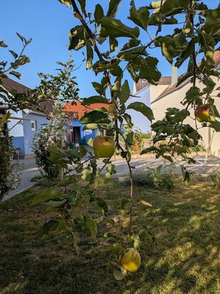 Zwei Häuser +Baugrund Gartenparadies, Wohlfühloase & Investmentchance in begehrter Lage Zwei Häuser +Baugrund Gartenparadies, Wohlfühloase & Investmentchance in begehrter Lage