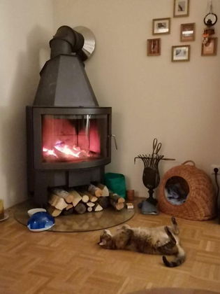 Charmante Wohnung Charmante Wohnung