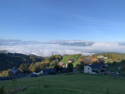 Wohnungen in 6835 Zwischenwasser