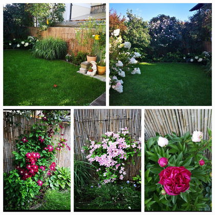 Maisonnette mit Garten Maisonnette mit Garten