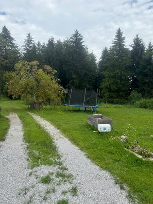 Freizeitgund mit Wald Wiese und fischteich