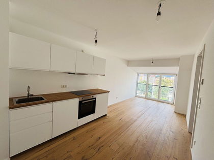 Neuwertige 2-Zimmer Studentenwohnung! Miete inkludiert BK, WW und Heizung! Neuwertige 2-Zimmer Studentenwohnung! Miete inkludiert BK, WW und Heizung!