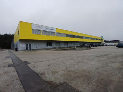 Hallen / Lager / Produktion in 9130 Poggersdorf