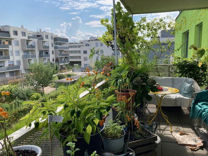 Privatverkauf Terrassenwohnung