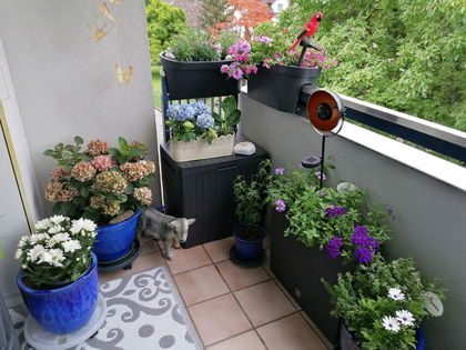 Verkaufe 5-Zimmerwohnung