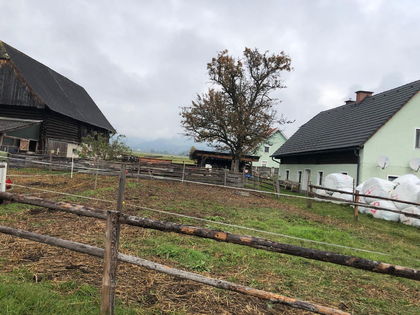 Land- / Forstwirtschaft in 8733 Feistritz bei Knittelfeld