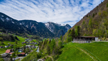 Land- / Forstwirtschaft in 6752 Dalaas